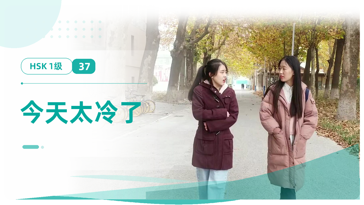 今天太冷了
